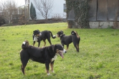 boris_und_balu_094