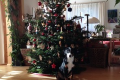 an-Weihnachten