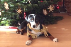geschmückt-an-Weihnachten