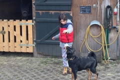 zuschneiden_12